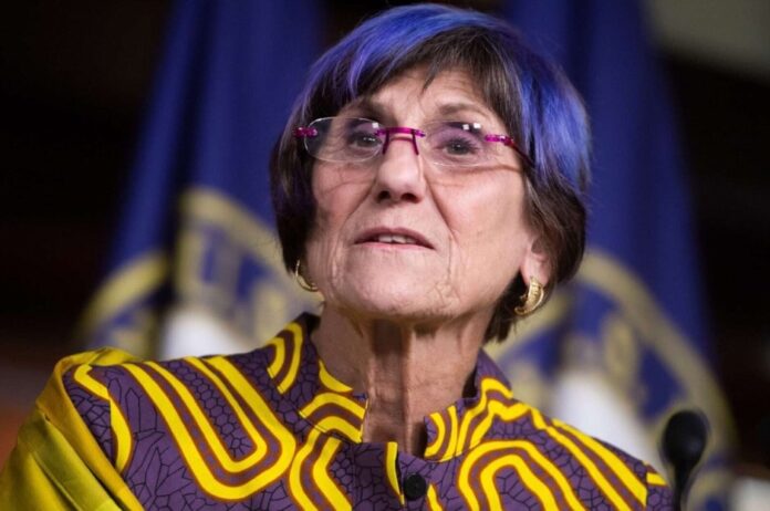 Rosa DeLauro Net Worth Examining Her Financial Standing