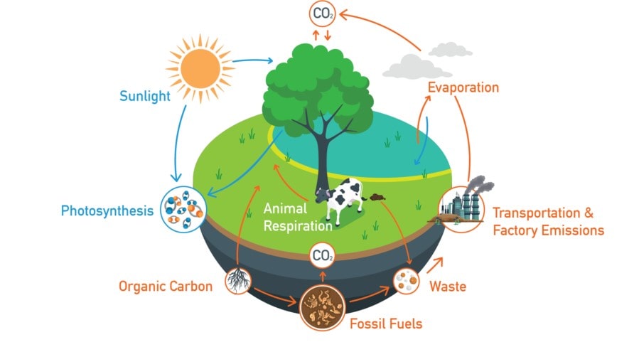 Waste Management and Circular Economy